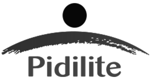 Pidilite